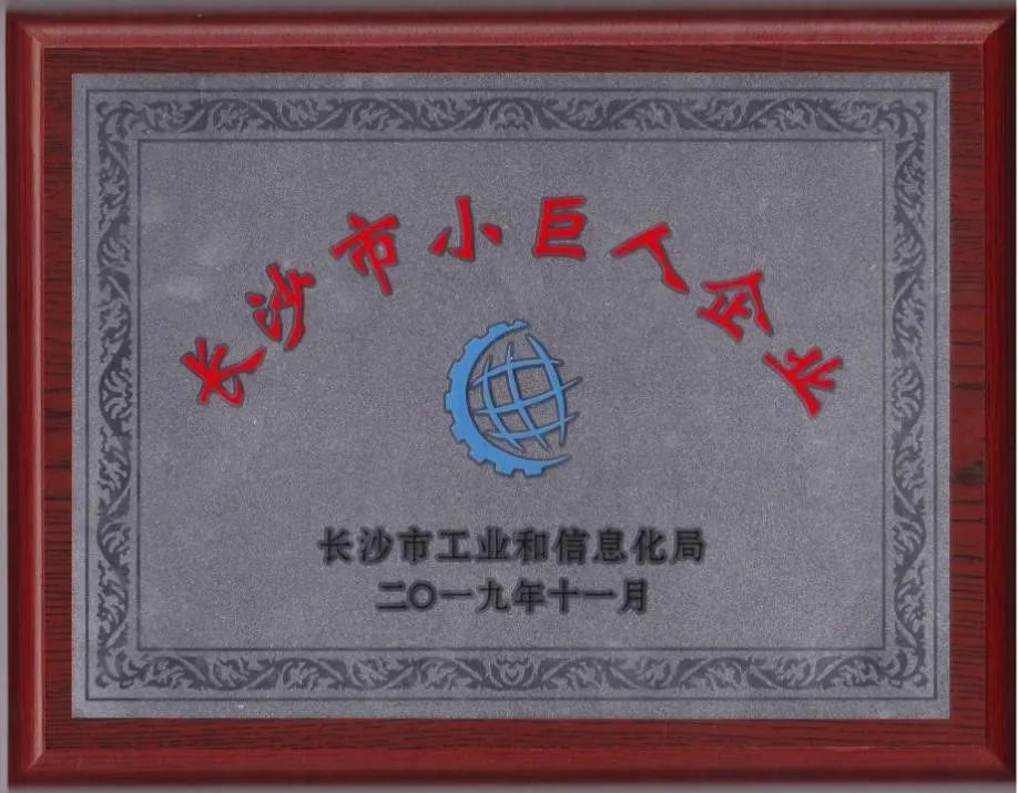 2019